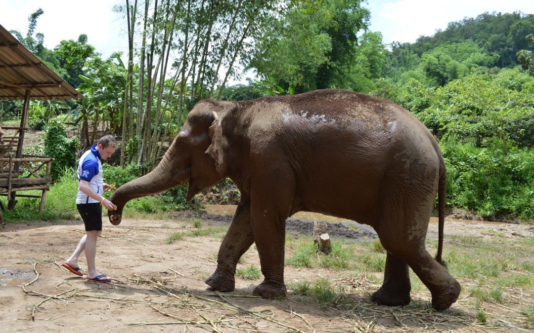 The best trip in Thailand!