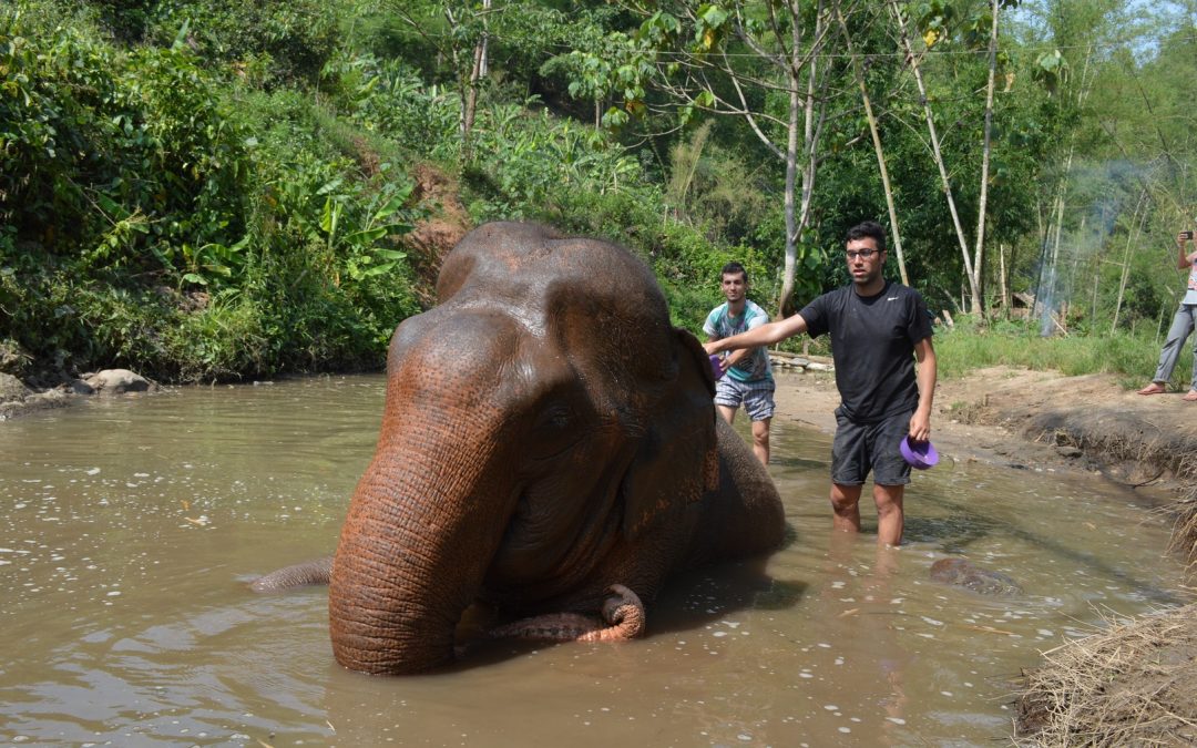 The highlight of your trip to Chiang Mai